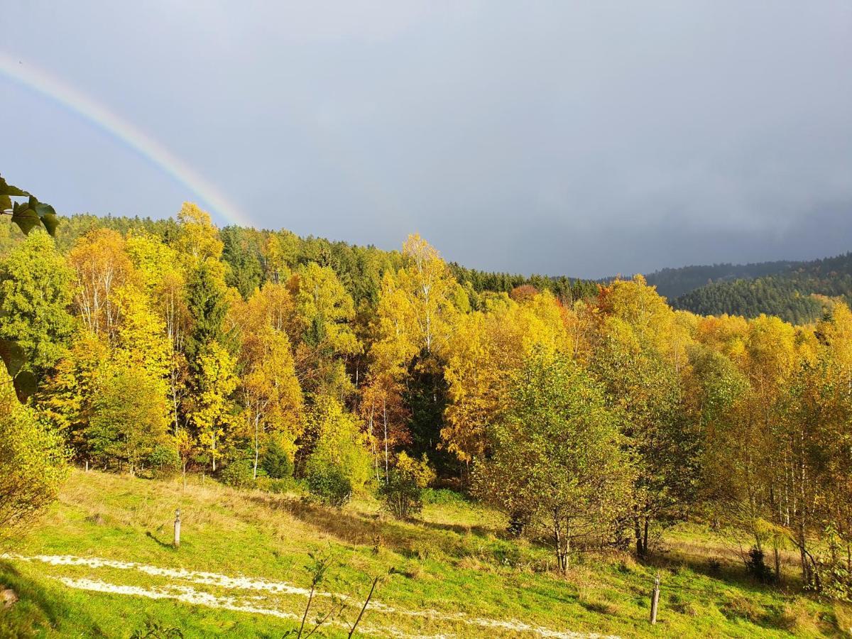 Ferienwohnung Ksiezycowa Dolina Lądek-Zdrój Exterior foto