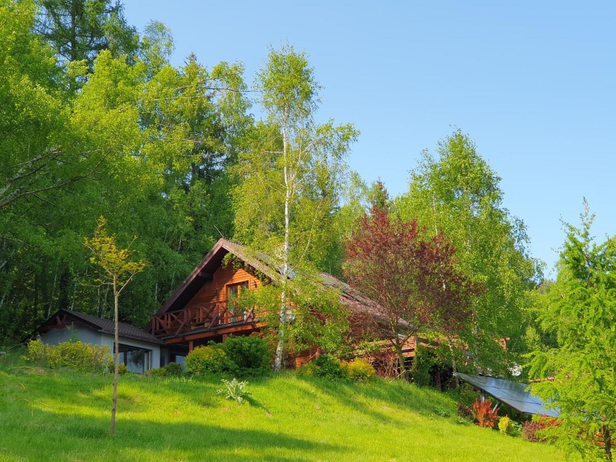 Ferienwohnung Ksiezycowa Dolina Lądek-Zdrój Exterior foto